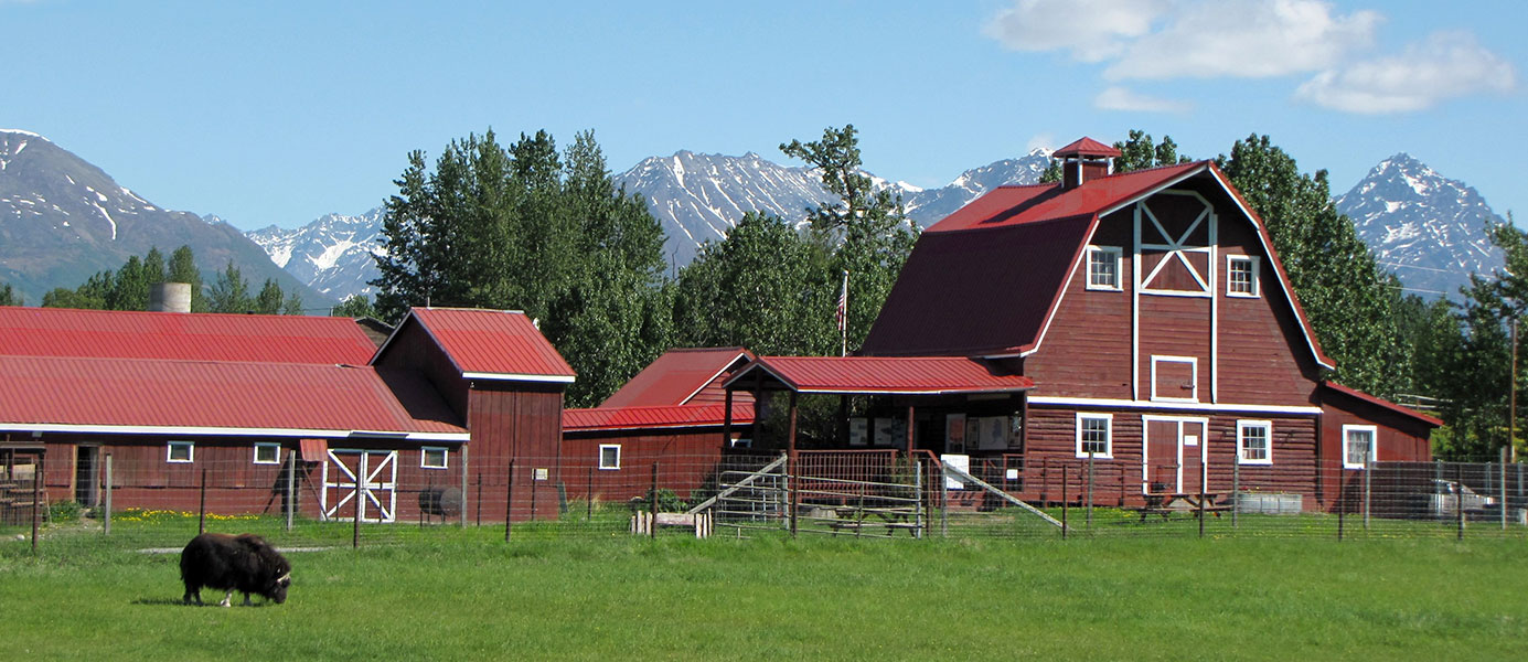 Musk Ox Farm - Palmer, Alaska